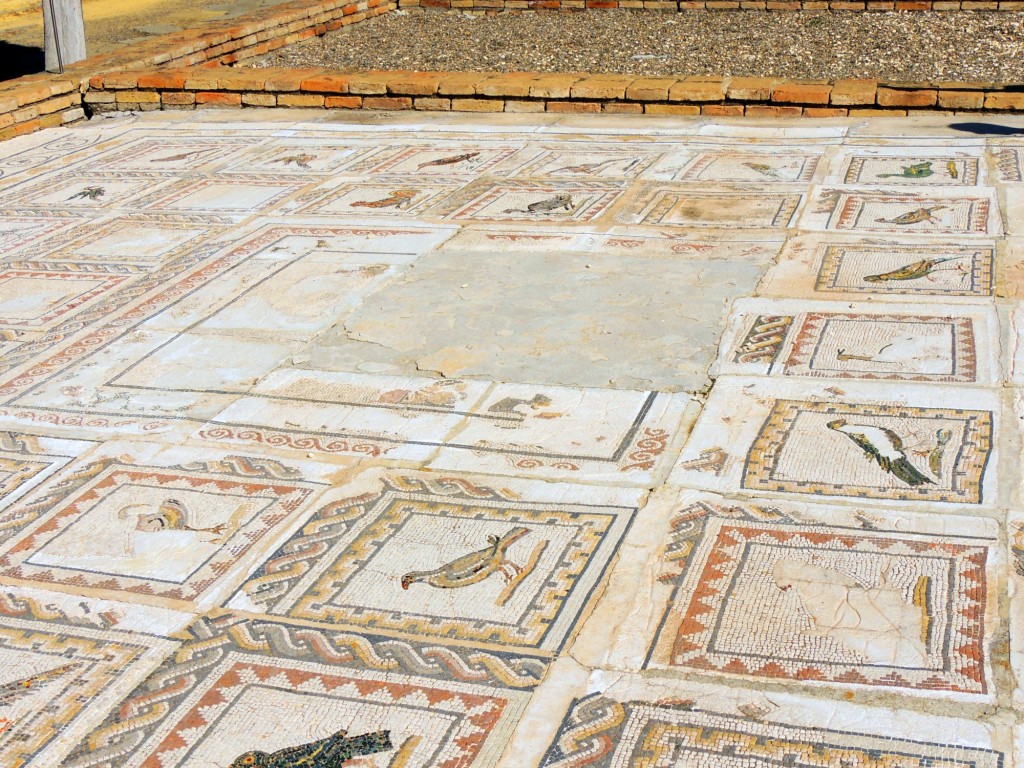 Foto: Conjunto Arqueológico de ITALICA - Santiponce (Sevilla), España