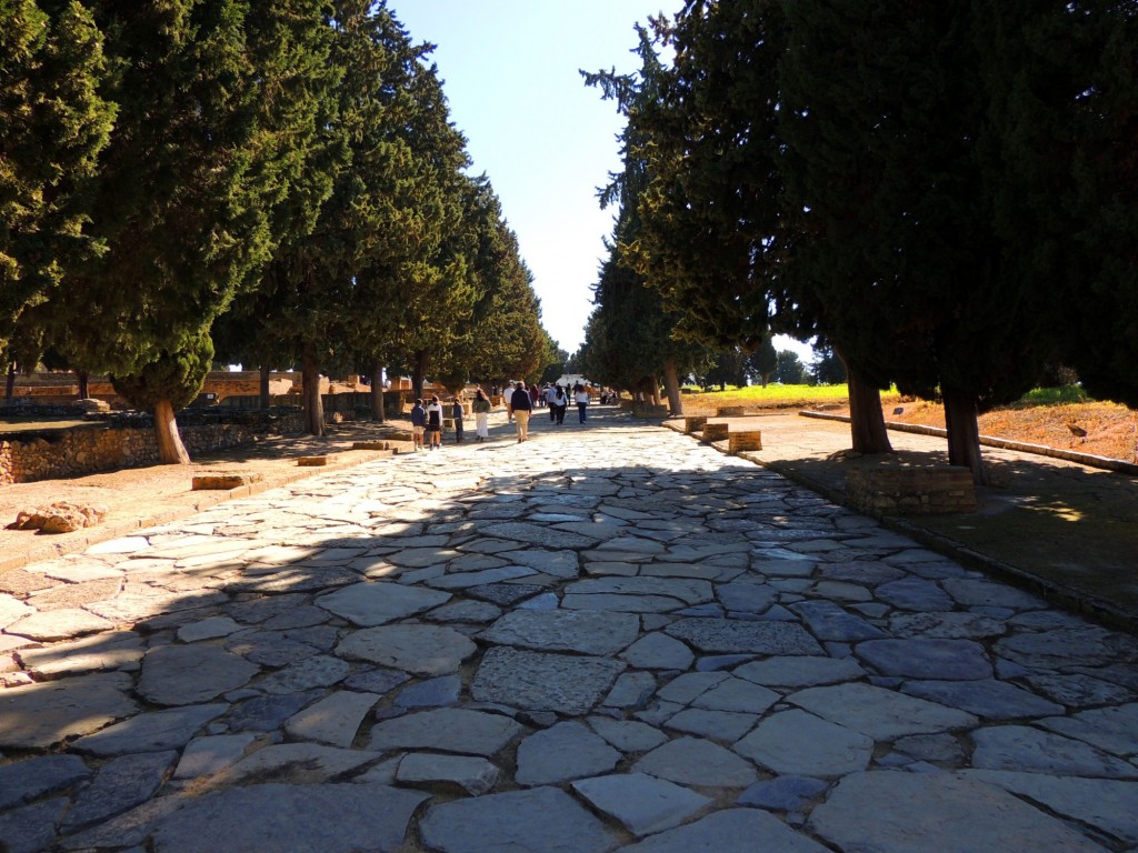 Foto: Calzada. Conjunto Arqueológico de ITALICA - Santiponce (Sevilla), España