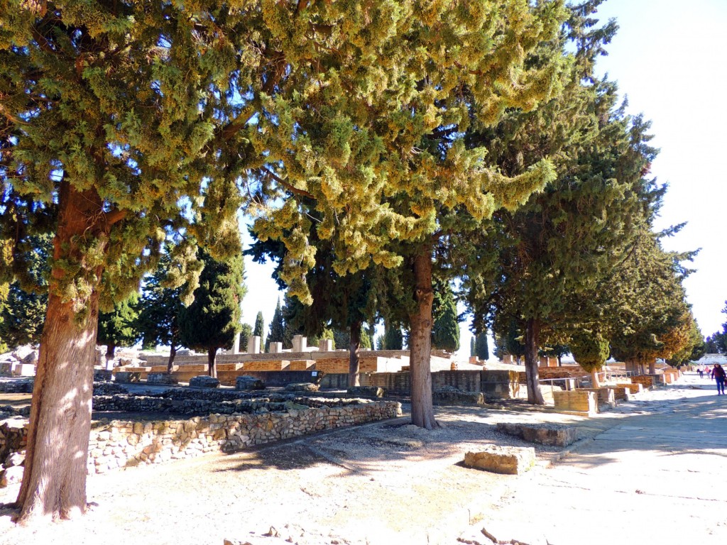 Foto: Conjunto Arqueológico de ITALICA - Santiponce (Sevilla), España