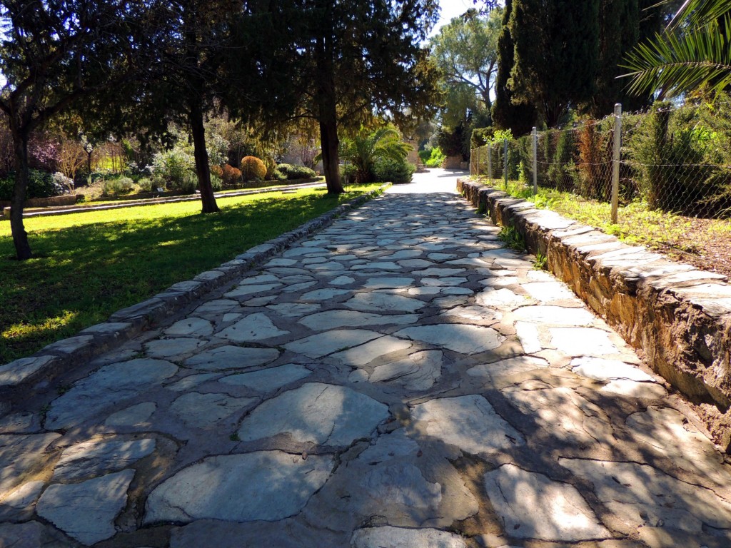 Foto: Calzada. Conjunto Arqueológico de ITALICA - Santiponce (Sevilla), España