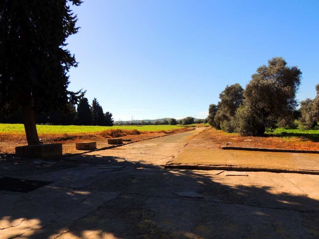Foto: Conjunto Arqueológico de ITALICA - Santiponce (Sevilla), España