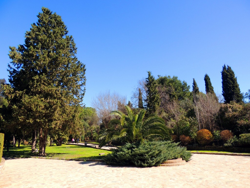 Foto: Conjunto Arqueológico de ITALICA - Santiponce (Sevilla), España