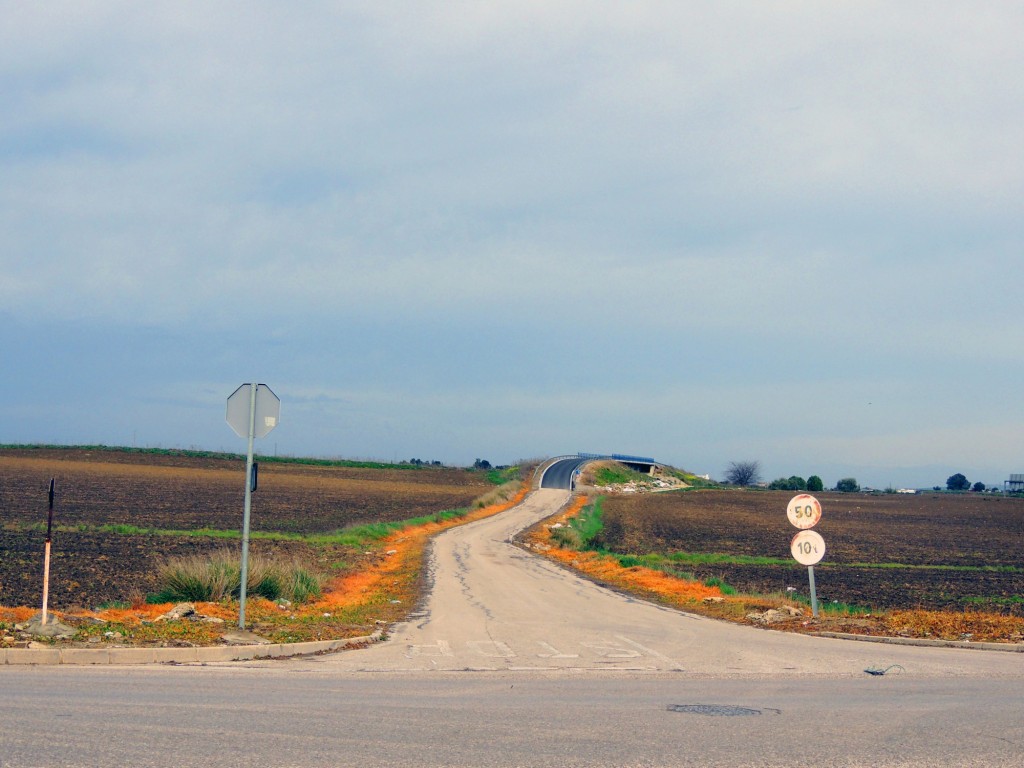 Foto: Carretera a la Barriada Rural Mesas de Roza - Jerez de la Frontera (Cádiz), España