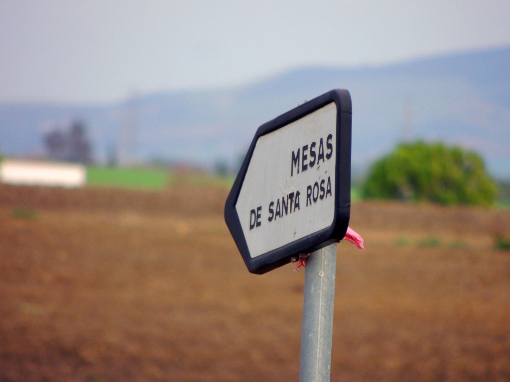 Foto: Indicación - Jerez de la Frontera (Cádiz), España