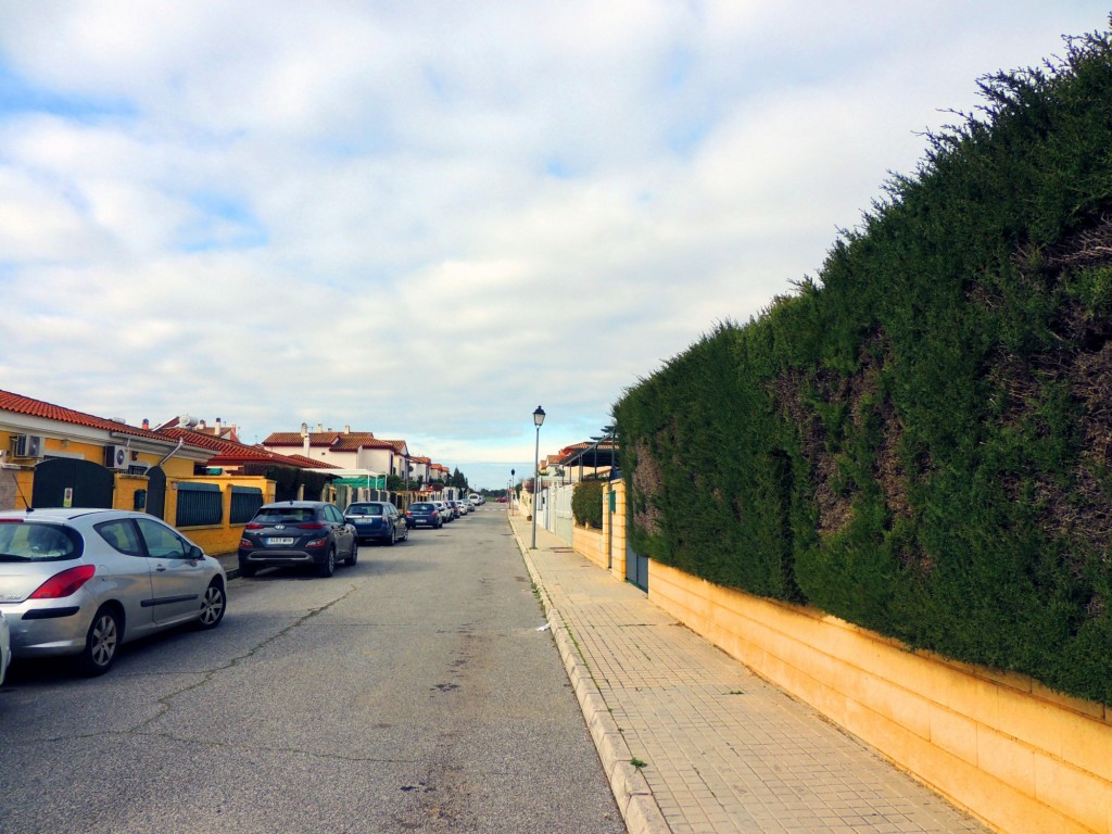 Foto: Calle Antonio Valdivieso Pérez - Villanueva del Ariscal (Sevilla), España