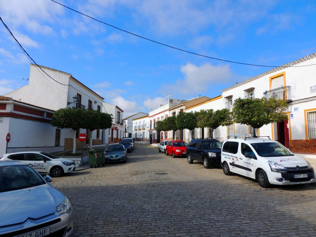 Foto: Plaza de Rafael Salazar - Villanueva del Ariscal (Sevilla), España