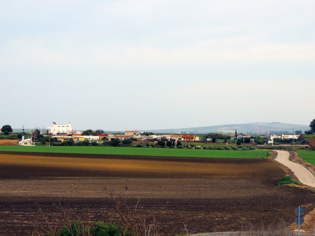 Foto: Barriada Rural Mesas Santa Rosa - Jerez de la Frontera (Cádiz), España