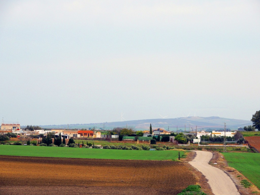 Foto: Barriada Mesas de Santa Rosa - Jerez de la Frontera (Cádiz), España