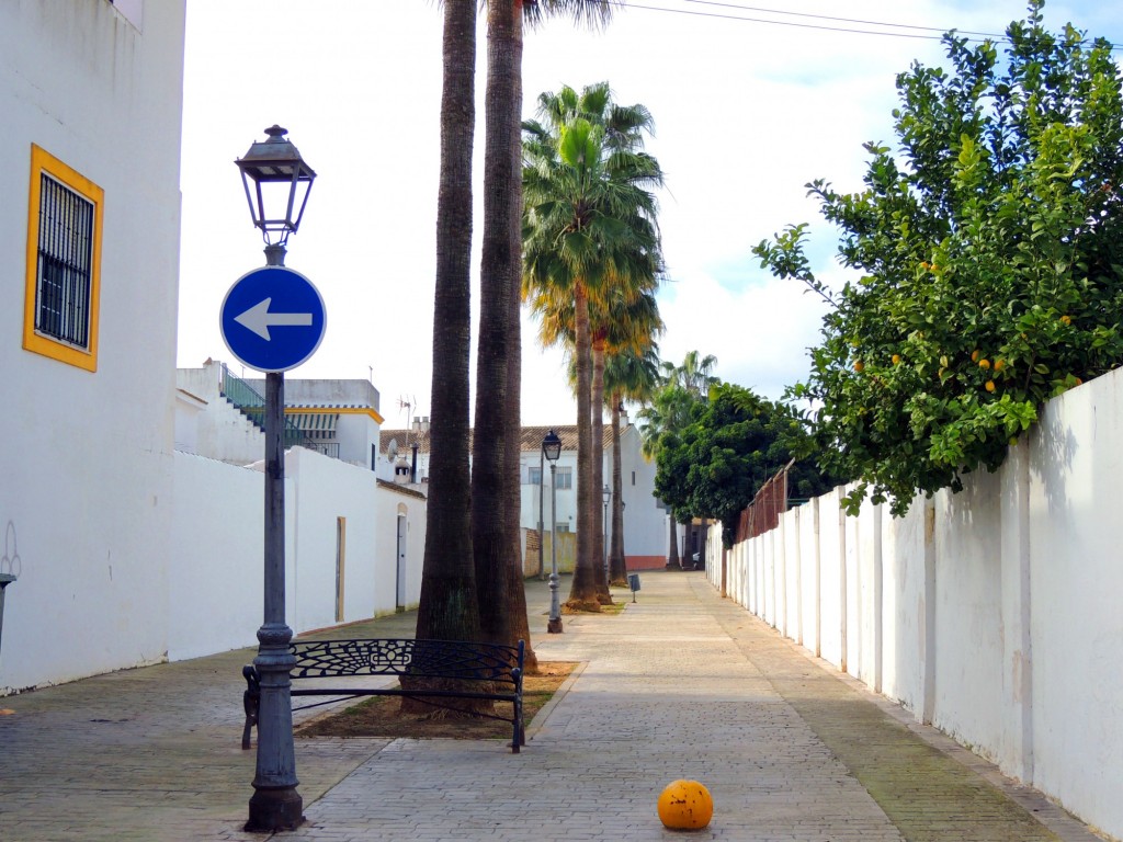 Foto: Calle Poeta José León - Villanueva del Ariscal (Sevilla), España