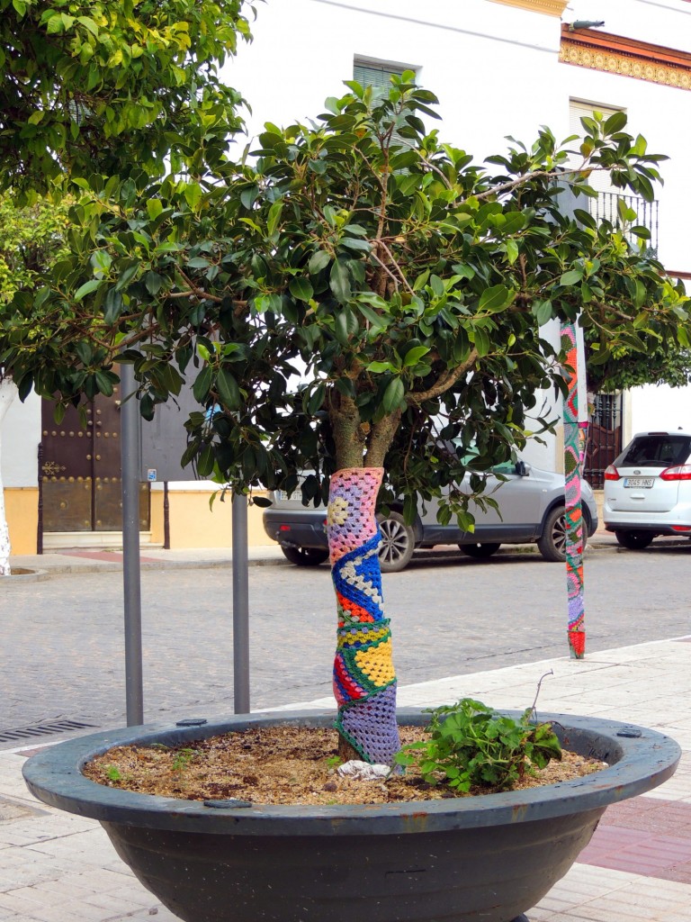 Foto de Villanueva del Ariscal (Sevilla), España