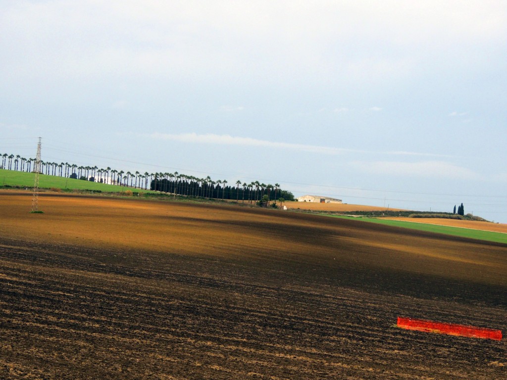 Foto: Rancho La Merced - Jerez de la Frontera (Cádiz), España