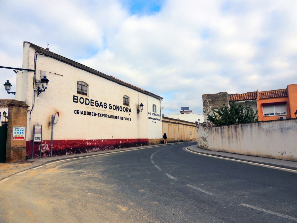 Foto: Bodegas Góngora - Villanueva del Ariscal (Sevilla), España
