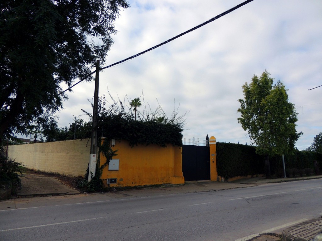 Foto: María Purísima - Villanueva del Ariscal (Sevilla), España