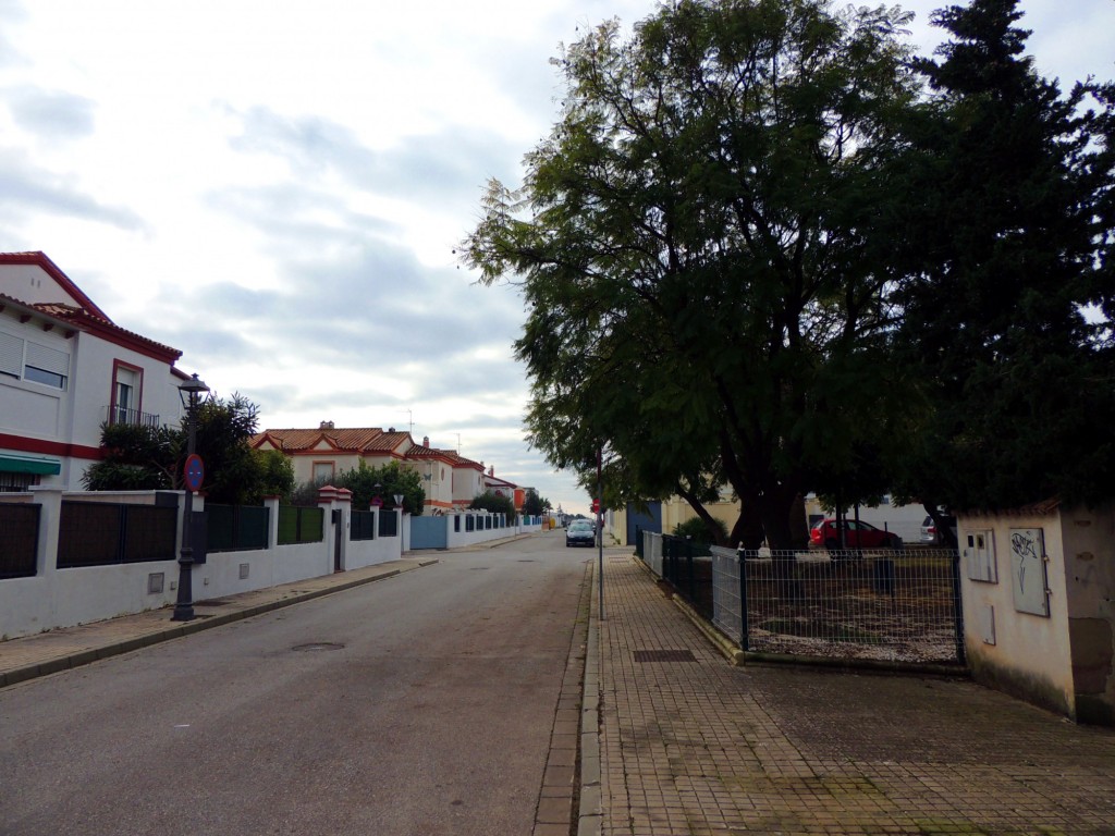 Foto: Calle Memorial 11 de Marzo de 2004 - Villanueva del Ariscal (Sevilla), España