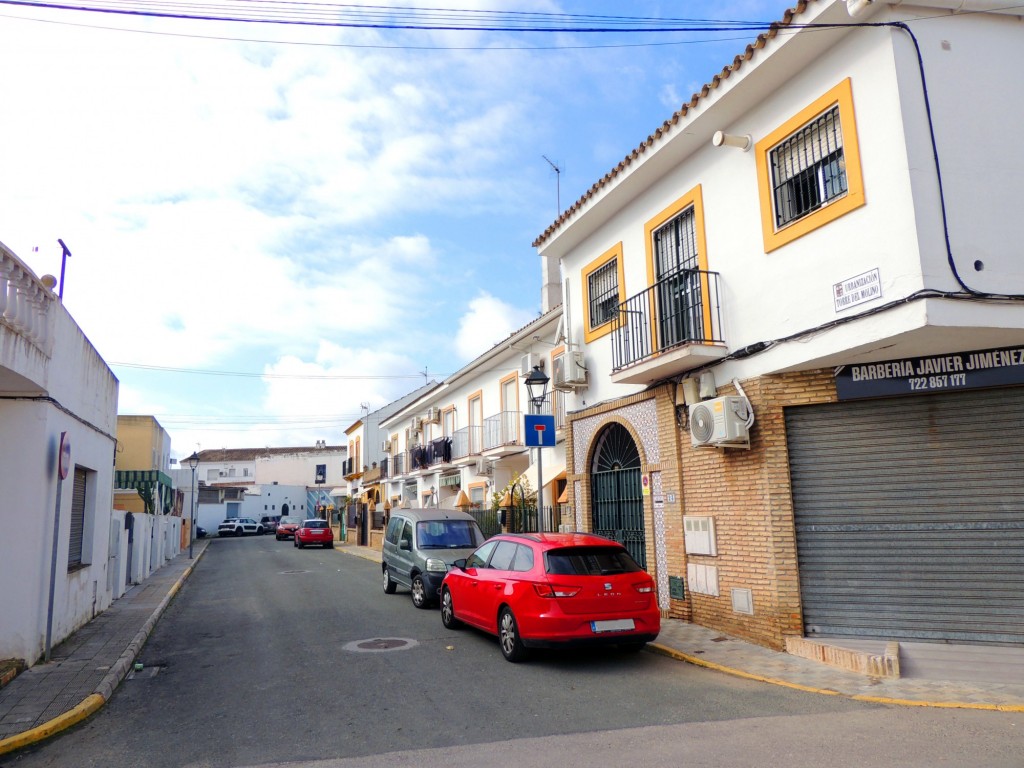 Foto: Urbanización Torre del Molino - Villanueva del Ariscal (Sevilla), España