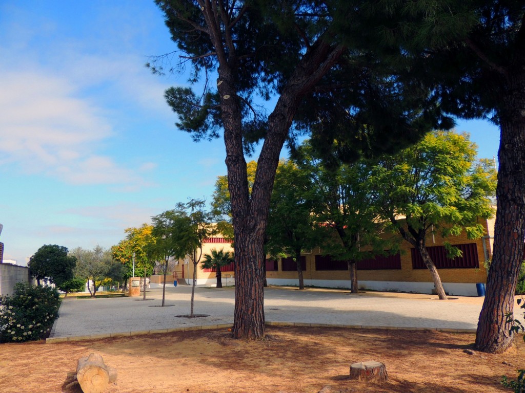 Foto: Patio Andalucía del Colegio - Villanueva del Ariscal (Sevilla), España