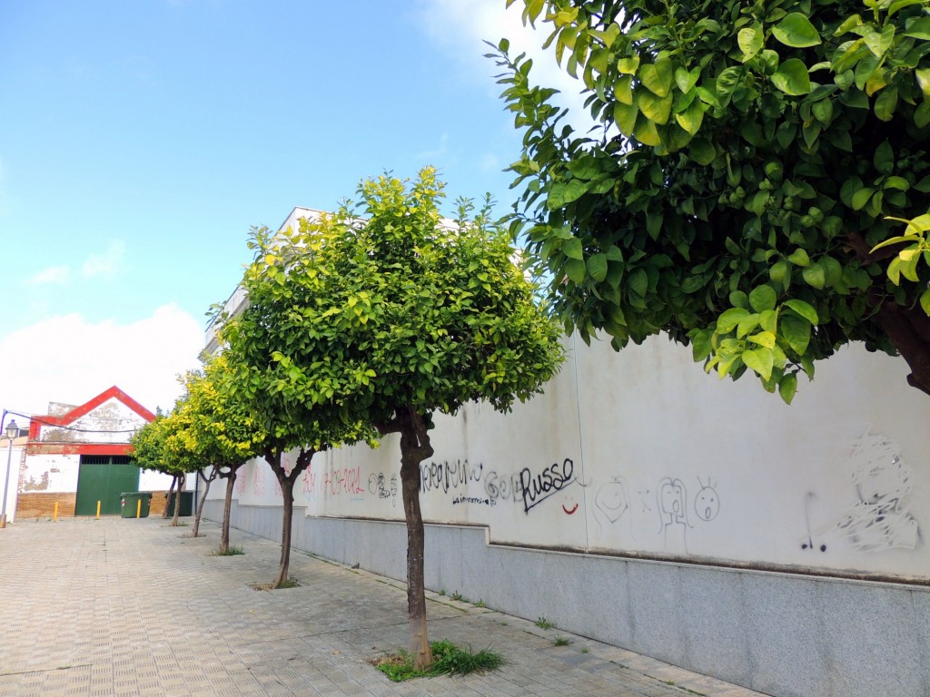 Foto: Pasaje de Paco Rabal - Villanueva del Ariscal (Sevilla), España