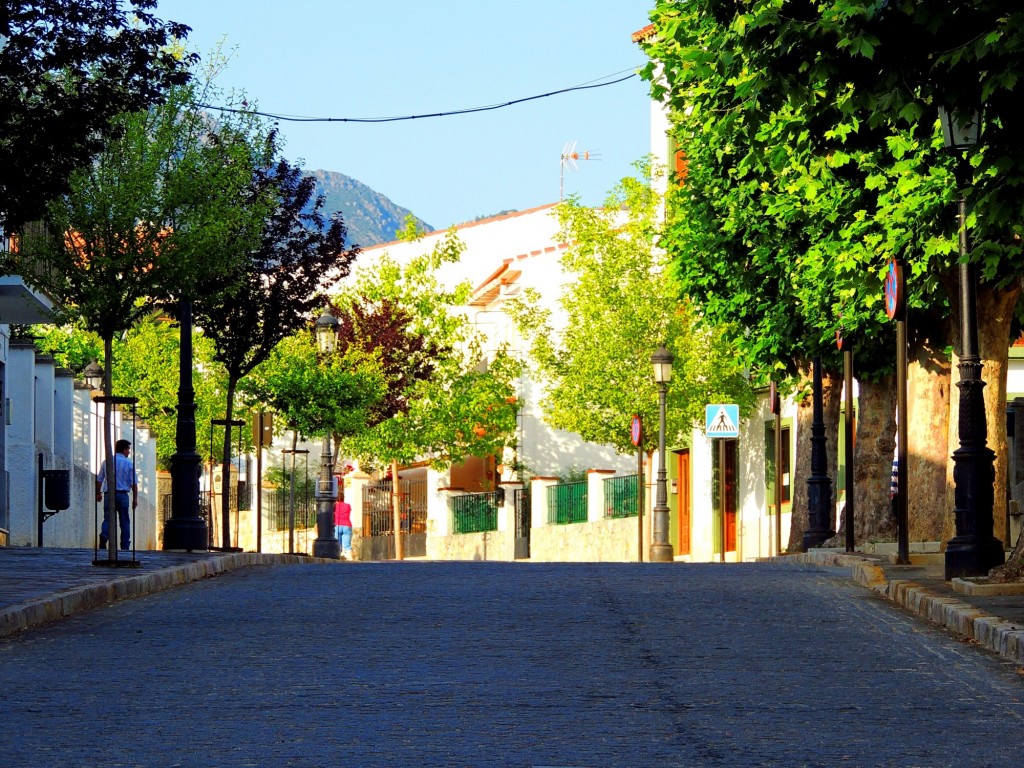 Foto: Avdª de García Herrera - Yunquera (Málaga), España