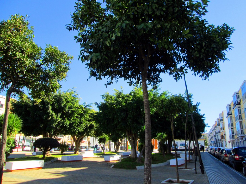 Foto: Calle Dr.Marañón - San Fernando (Cádiz), España