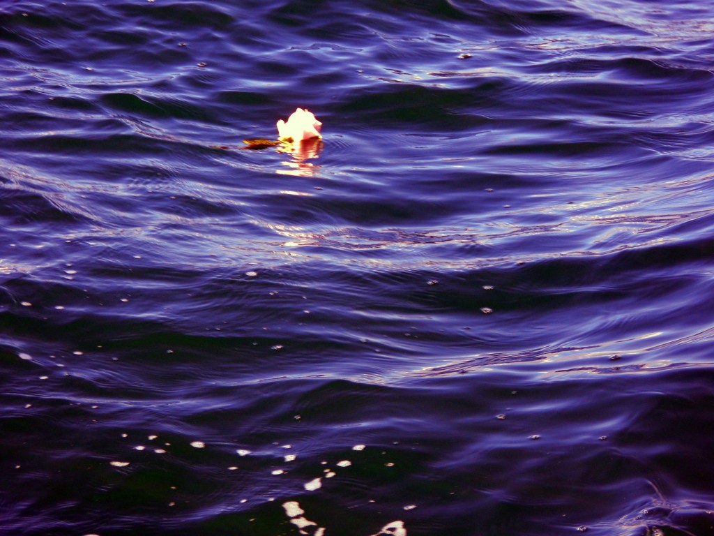 Foto: Paseo en velero por la Bahía de Cádiz - Cádiz (Andalucía), España