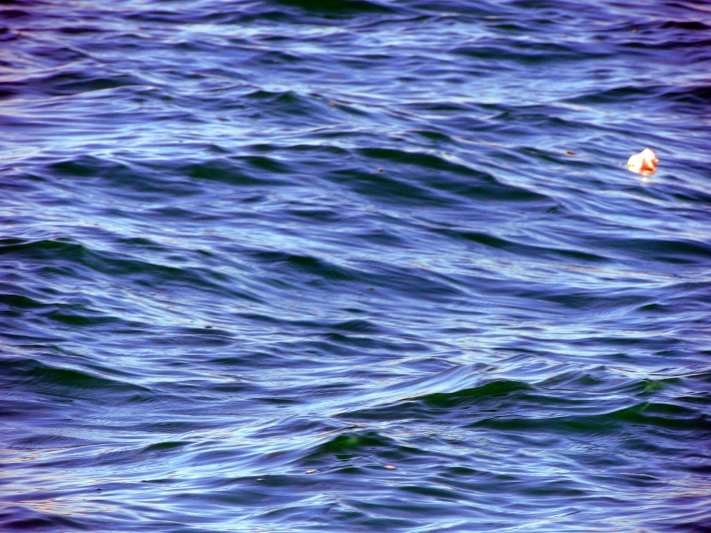 Foto: Paseo en velero por la Bahía de Cádiz - Cádiz (Andalucía), España