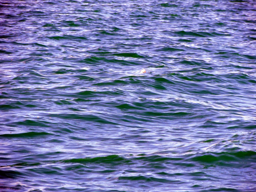Foto: Paseo en velero por la Bahía de Cádiz - Cádiz (Andalucía), España
