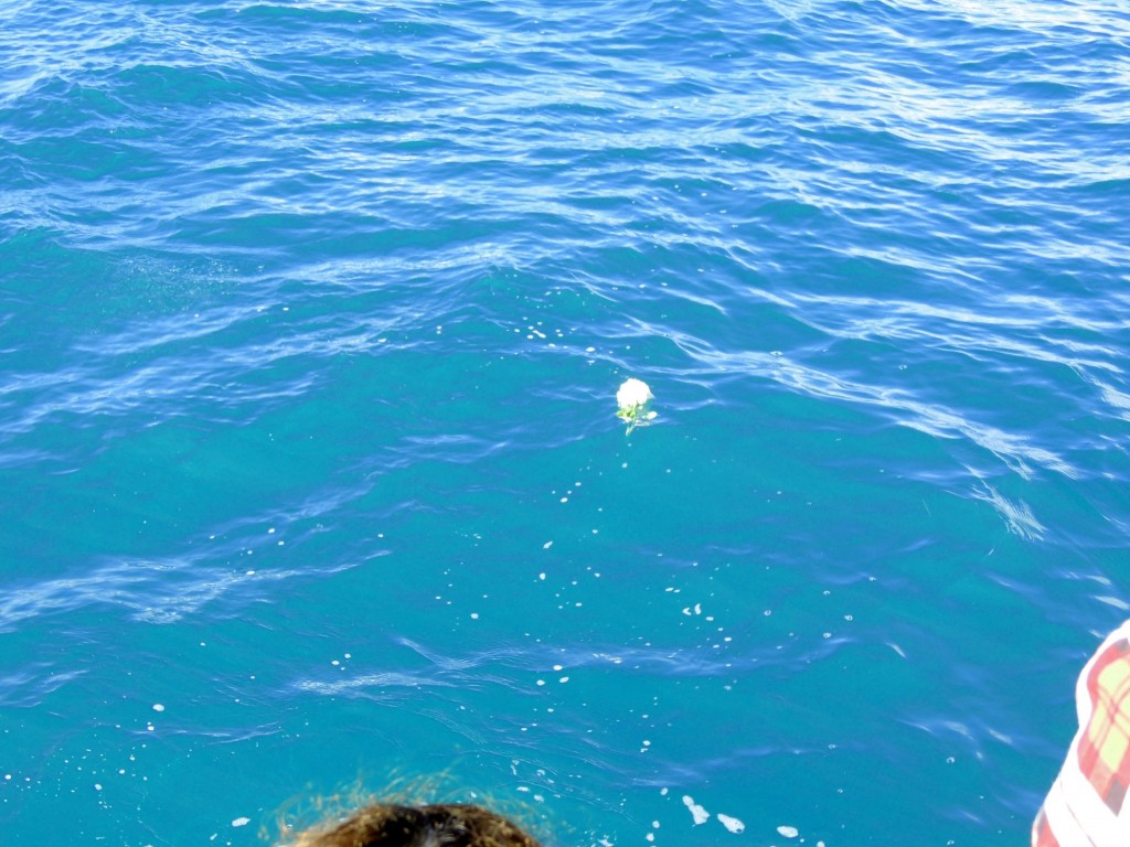 Foto: Paseo en velero por la Bahía de Cádiz - Cádiz (Andalucía), España