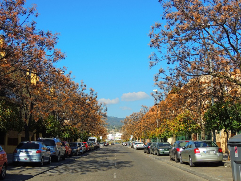 Foto: Calle Marie Curie - Córdoba (Andalucía), España