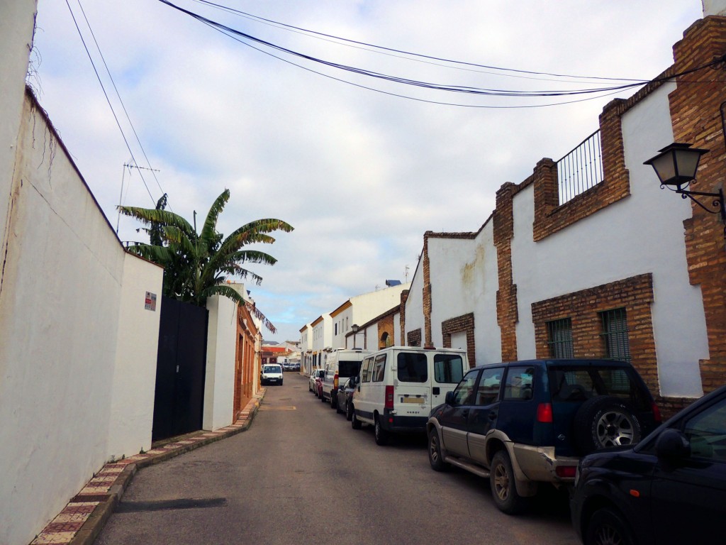 Foto: Calle Miguel Hernandez - Villanueva del Ariscal (Sevilla), España