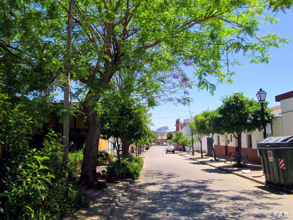 Foto: Calle Molino - El Torno (Cádiz), España