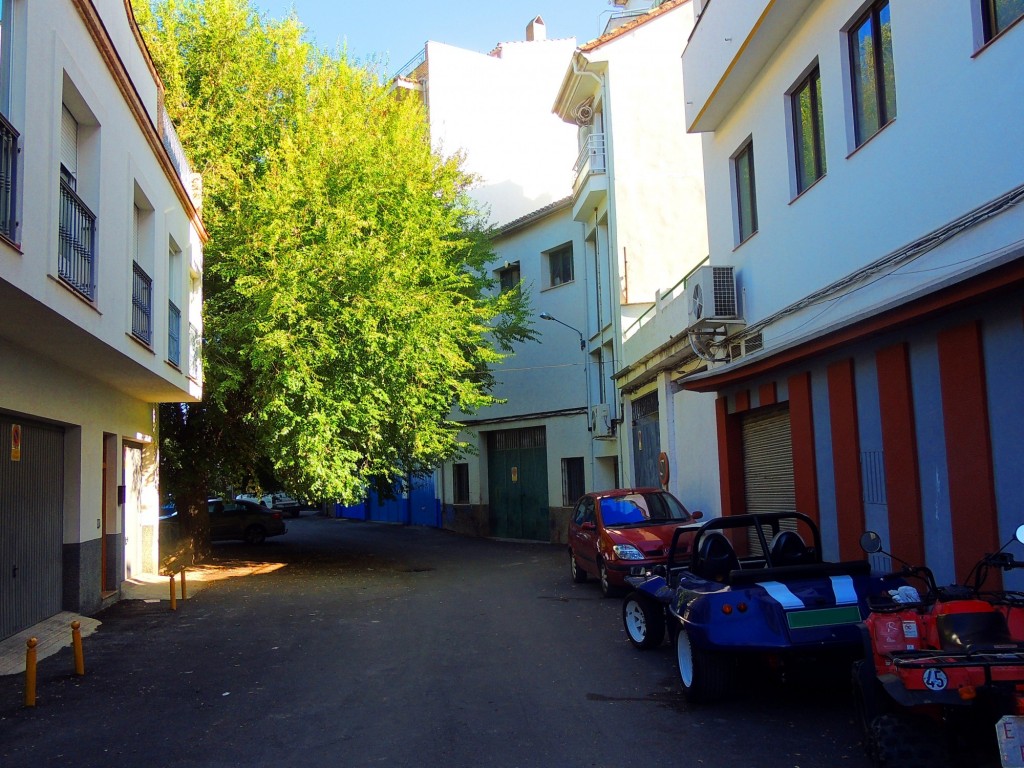 Foto: Calle Negrillo - Cazorla (Jaén), España