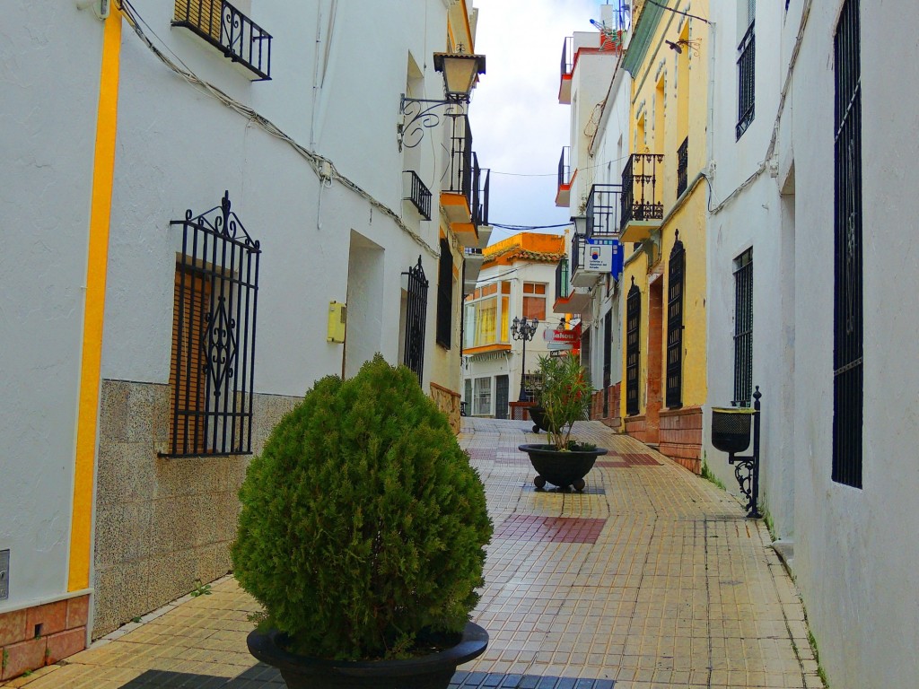 Foto: Calle Nuestra Señora del Rosario - Cortes de la Frontera (Málaga), España