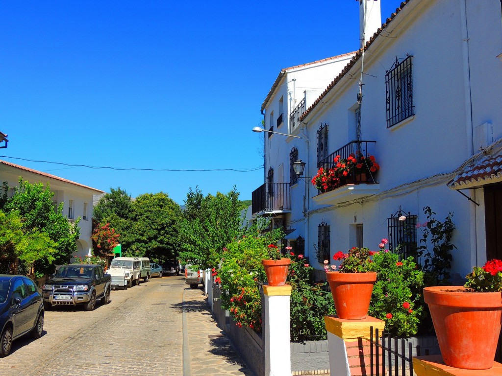 Foto: Calle Nueva - Pujerra (Málaga), España