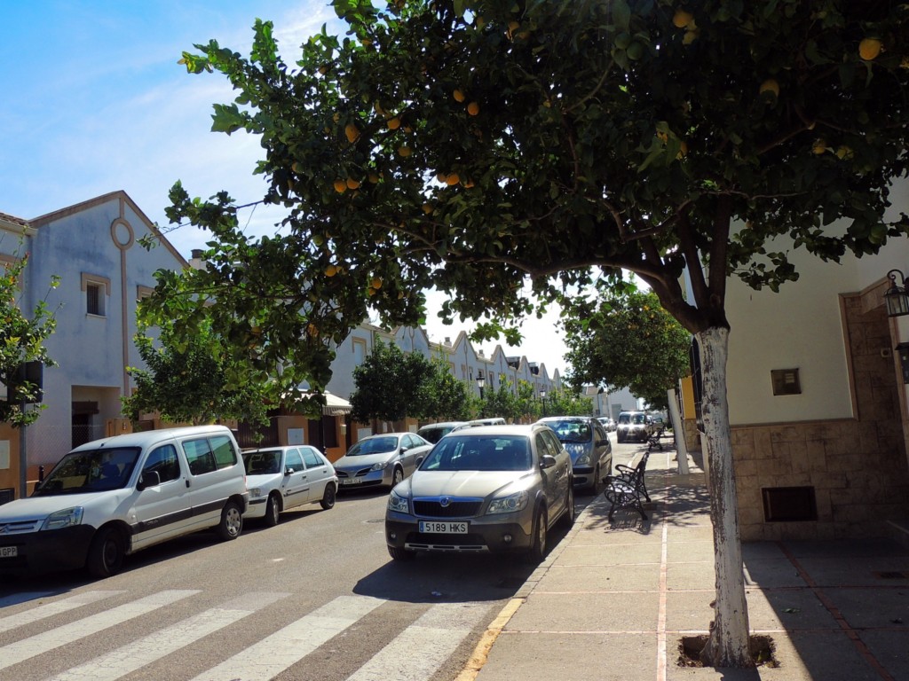 Foto: Calle Nueva - Nueva Jarilla (Cádiz), España