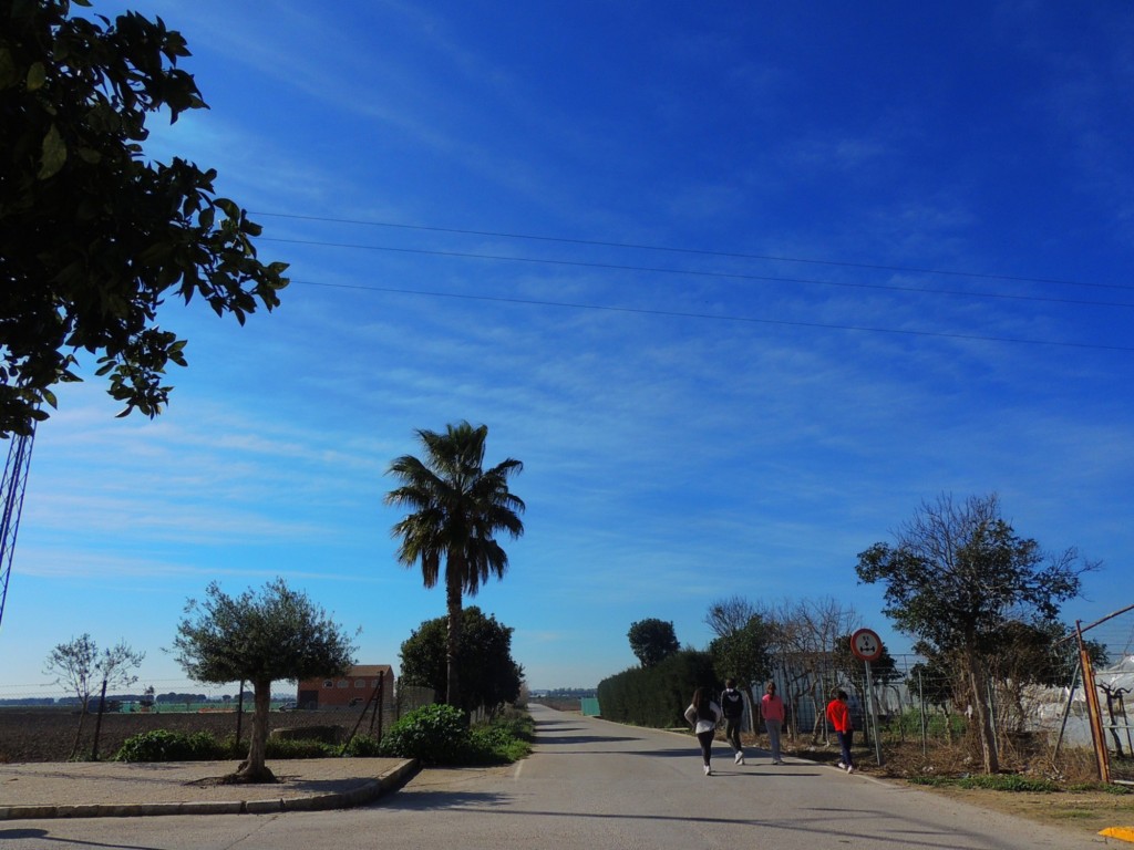 Foto: Calle Parra - Nueva Jarilla (Cádiz), España
