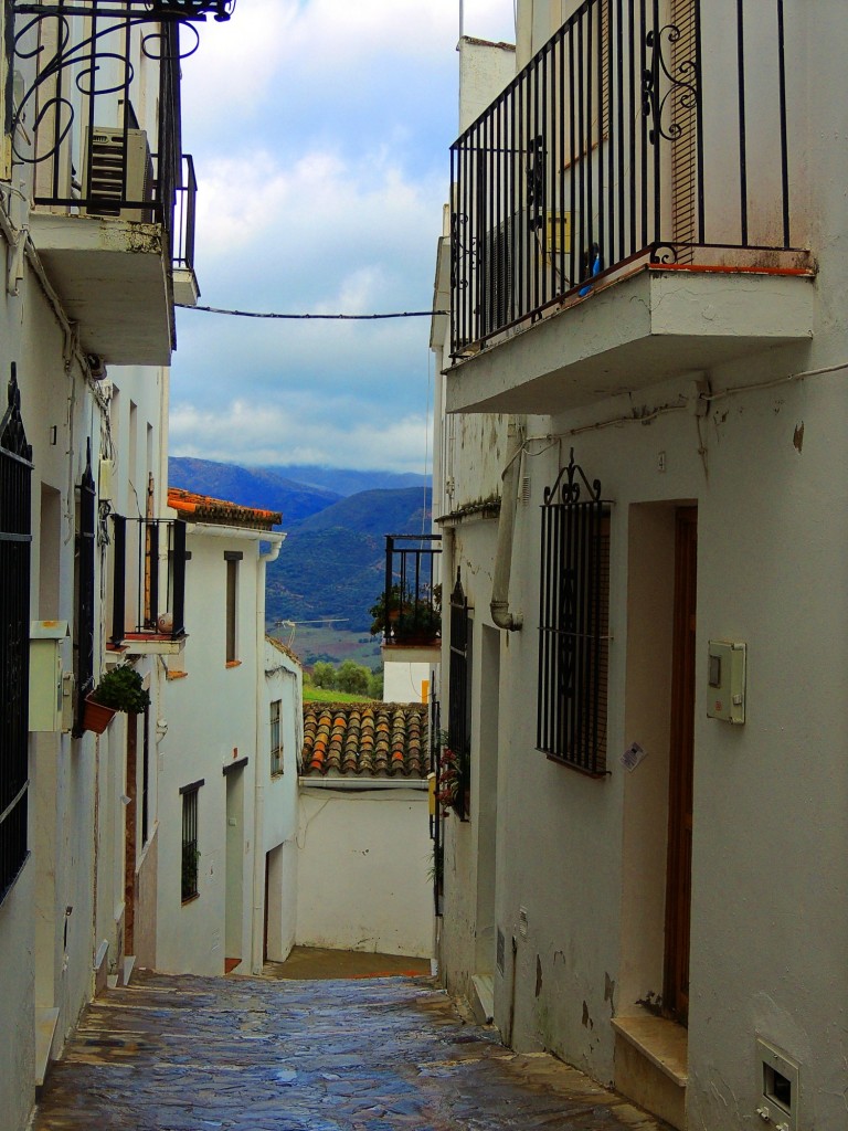 Foto: Calle Palo - Cortes de la Frontera (Málaga), España