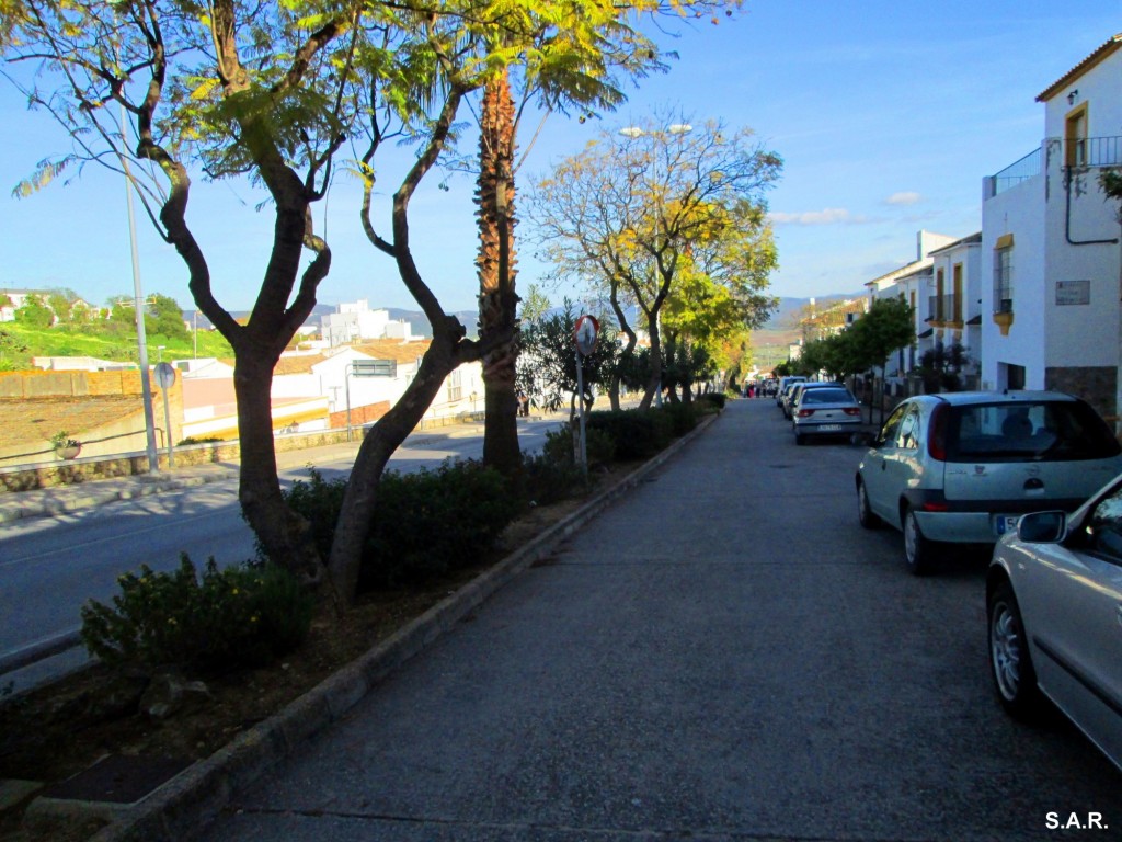 Foto: Calle Paseo de la Janda - Benalup (Cádiz), España