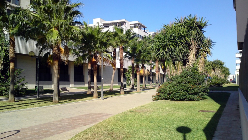 Foto: Calle Paseo de las Viñas - Jerez de la Frontera (Cádiz), España