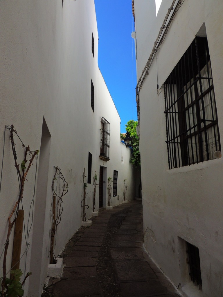 Foto: Calle Pedro Gimenez - Córdoba (Andalucía), España