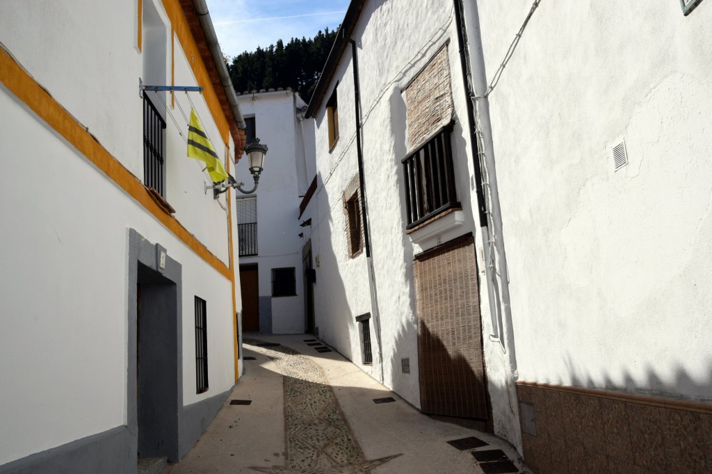 Foto: Calle Pedro Muñoz - Algatocín (Málaga), España