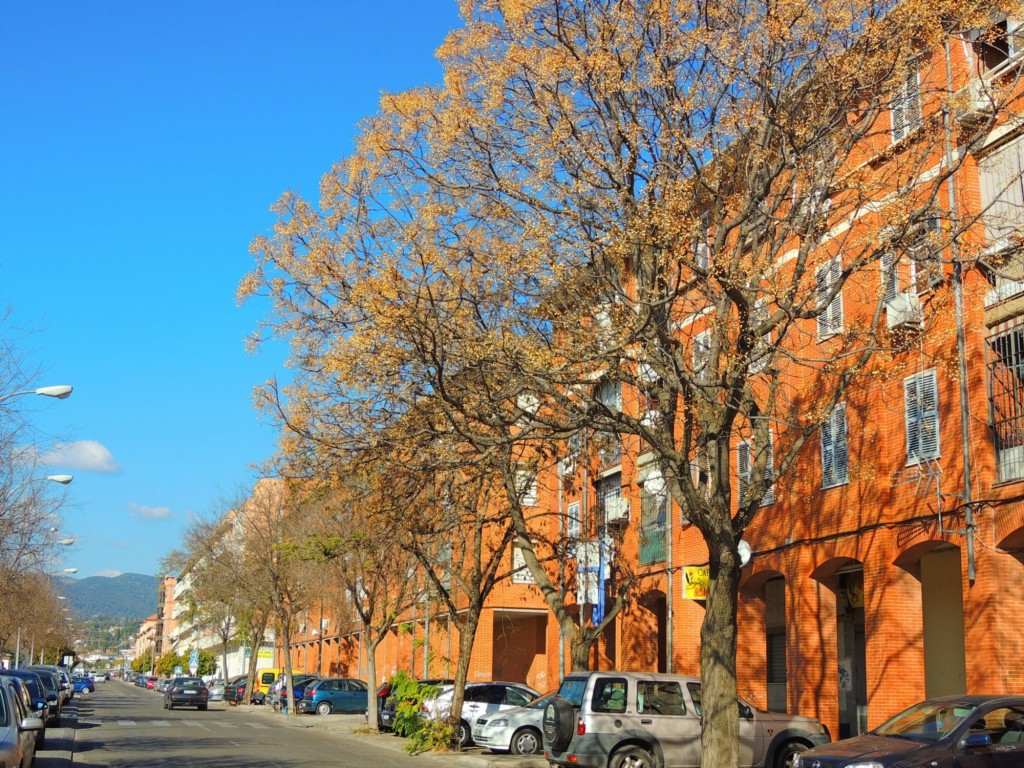Foto: Calle Periodista Leafar - Córdoba (Andalucía), España