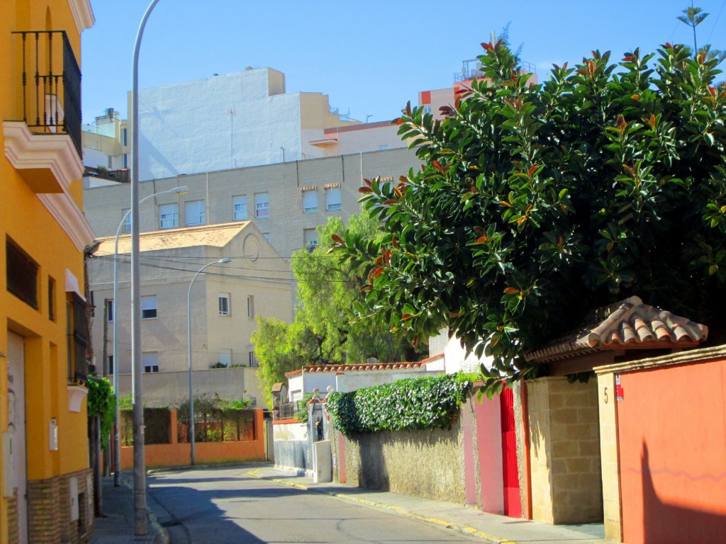 Foto: Calle Pintor Ribera - Cadiz (Cádiz), España