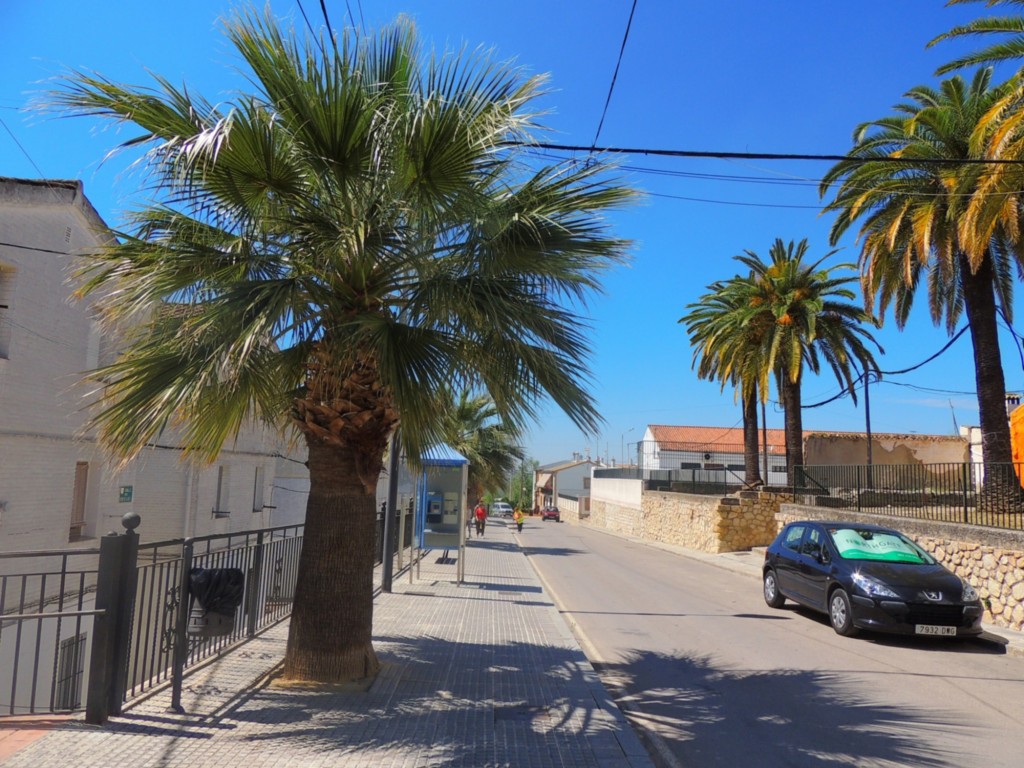Foto: Calle Pisos de la Virgen de la Aurora - Monturque (Córdoba), España