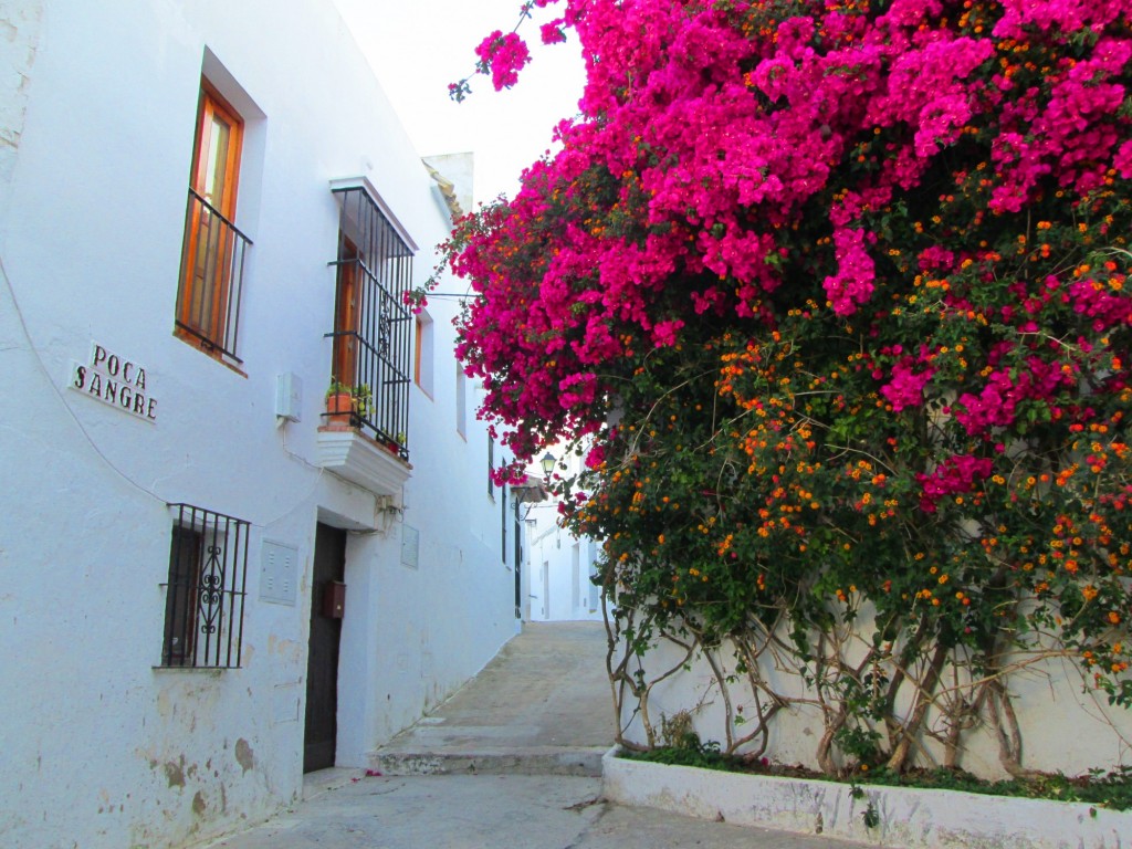 Foto: Calle Poca Sangre - Veger de la Frontera (Cádiz), España