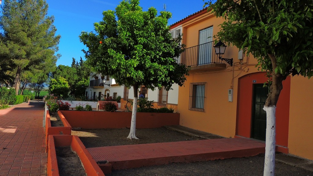 Foto: Calle Plinio - Trajano (Sevilla), España