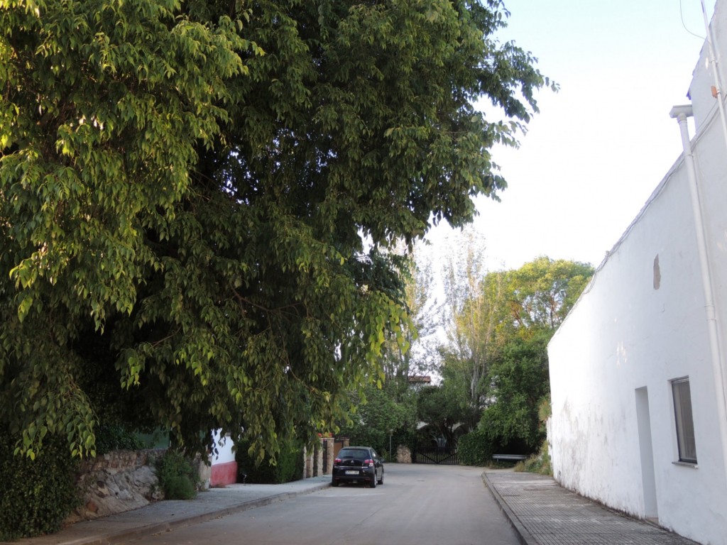 Foto: Calle Poeta Juán Ramón Jimenez - Santa María de Trassierra (Córdoba), España