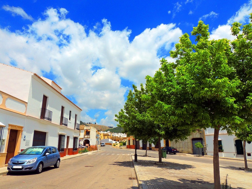 Foto: Calle Prado del Rey - Montellano (Sevilla), España