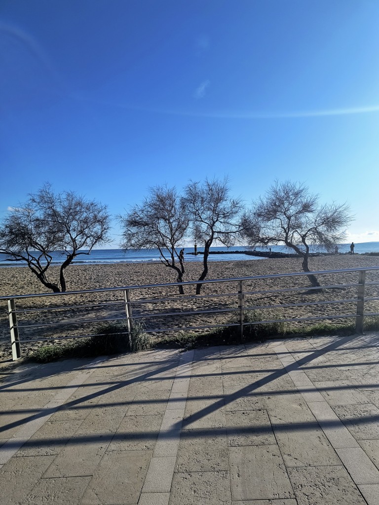 Foto: atardecer en la playa del Molinar - El Molinar (Illes Balears), España