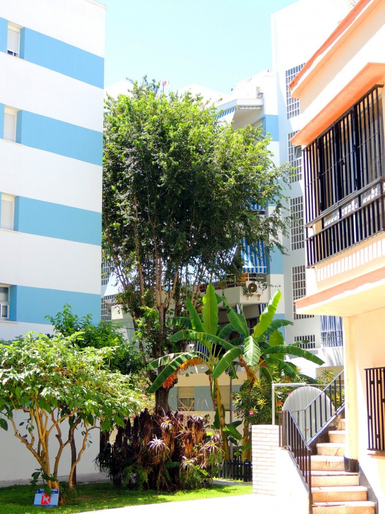 Foto: Calle Rabita Ruta - Rota (Cádiz), España