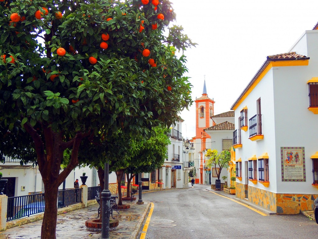 Foto: Calle Real - Málaga (Andalucía), España